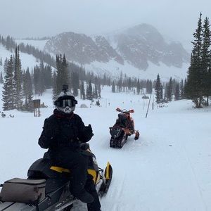 Meet your Posher, Landen